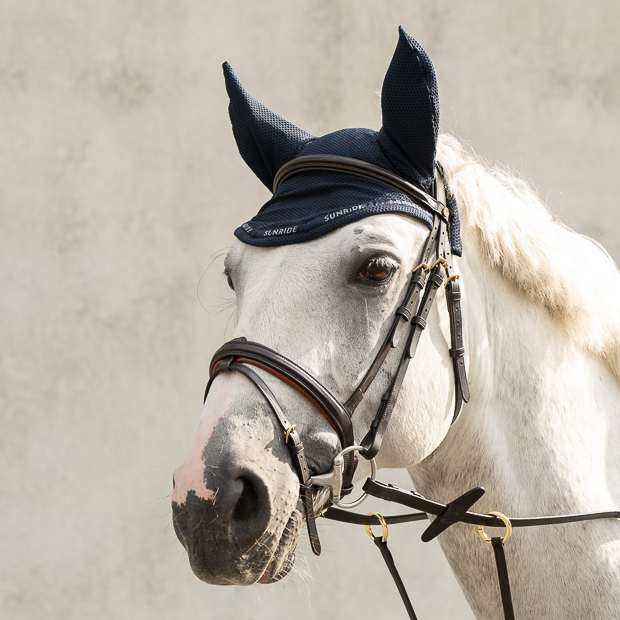 fliegenhaube wellington in blau am pferd mit trense hawaii braun