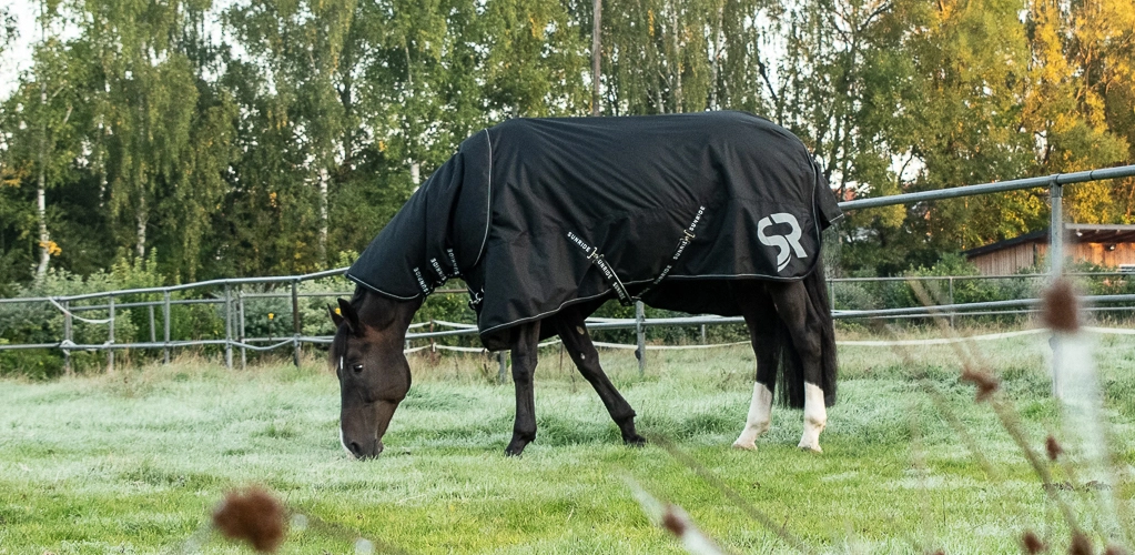 Regendecke Dublin mit Halsteil Ein Pferd steht bei kälte auf der Koppel und es trägt die Regendecke Dublin mit Halsteil