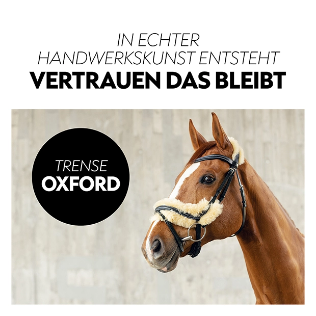 Schwedische Trense "Oxford" mit Zügel