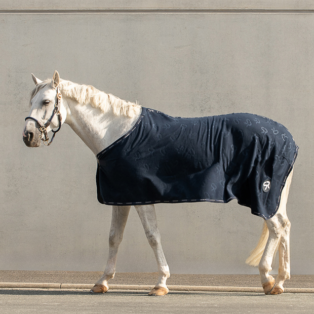 abschwitzdecke wellington blau auf dem pferd sowie leder und fellhalfter dover in braun