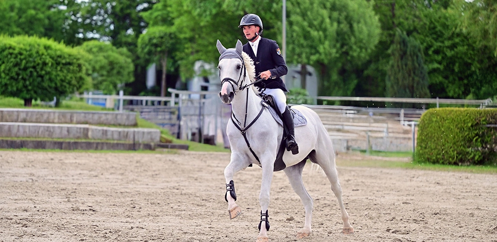 Vorderzeug Ein Reiter galoppiert mit seinem Pferd auf einem Platz im Hintergrund sind Bäume zu sehen