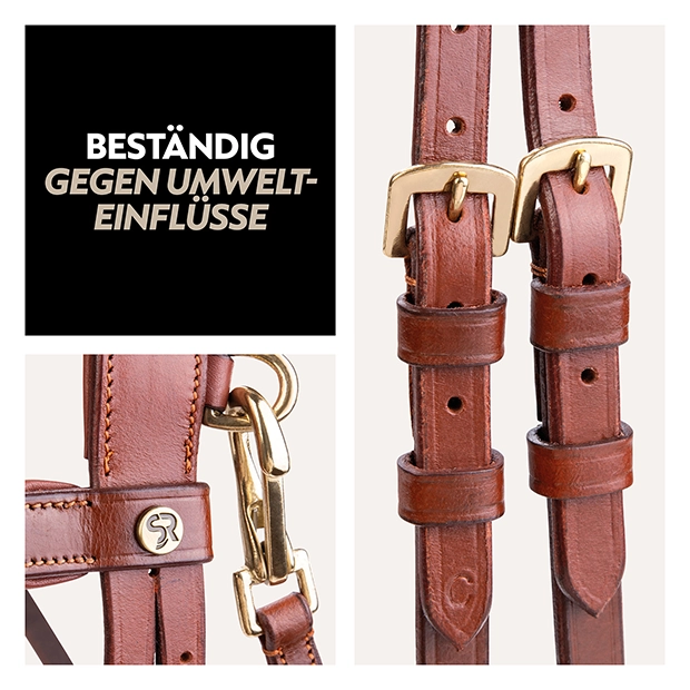 English combined bridle "Berlin" with reins