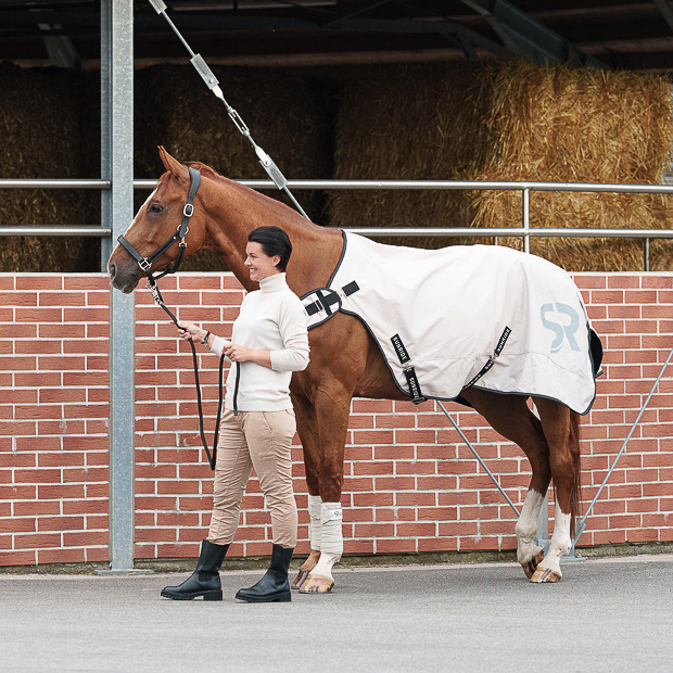 Führanlagendecke "Cornwell" (1200D) Führanlagendecke "Cornwell" (1200D)