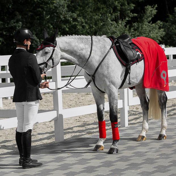 black red sr line set with jumping saddle pad, fly earnet, bandages and cooler rug by sunride under a saddle on a horse with rider 