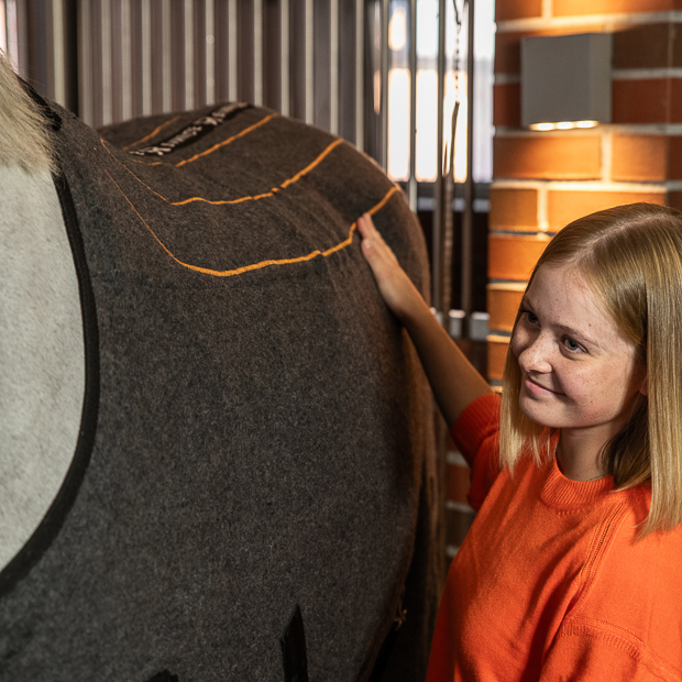 pferd mit grauer heizdecke von sunride mit seiner reiterin in der stallgasse