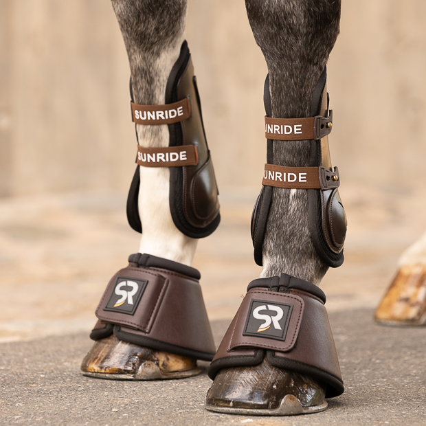 leder springgamaschen  braun mit elastischen  strippen  und leder hufglocken am pferdebein leder springgamaschen  braun mit elastischen  strippen und sunride schriftzug sowie den passenden leder sprungglocken am pferdebein