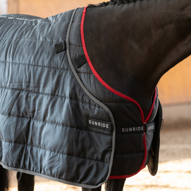 150 and 300 grams filling under rugs on horse both under rugs with 150 and 300 grams filling by sunride on a horse