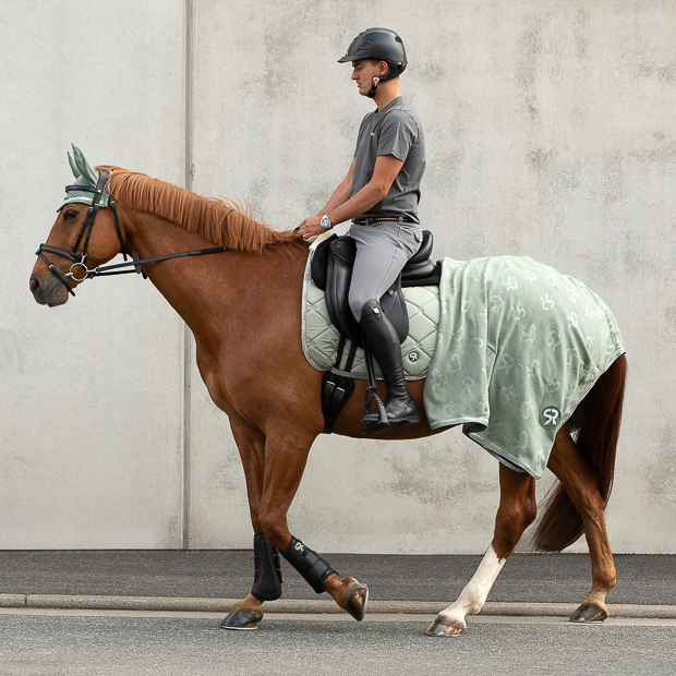 wellington set olive mit abschwitzdecke, fleece bandagen, satteldecke mit strasssteinen sowie passendem elastischen fliegenhaube mit strasssteinen am pferd mit reiter