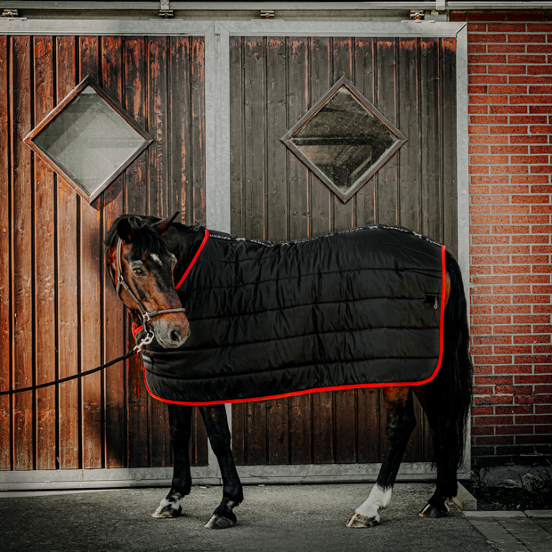 horse with black under rug 300 grams filling and brown leather halter dallas black under rug with 300 grams filling compatible with all sunride winter and rain rugs and brown leather halter dallas on a horse in front of stable