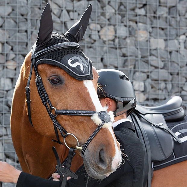 black mexican bridle acapulco with silver mounting including matching reins by sunride on a horse with earnet and saddle pad of sr line