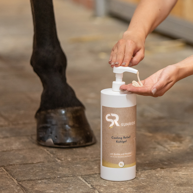 cooling gel cooling relief in one liter bottle by sunride on horse leg