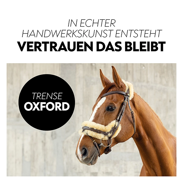 Schwedische Trense "Oxford" mit Zügel