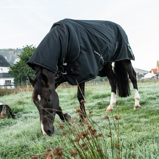 combination of black rain rug dublin with 50 grams filling and reflecting elements and the matching neck part by sunride on a horse in the meadows