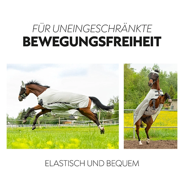 Fly Rug with removable Neck Part "Dubai" Summer Rug / Fly Rug with removable Neck Part "Dubai"