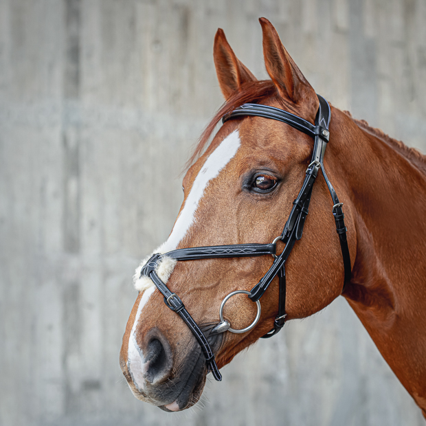 horse with acapulco black silver mexican bridle including reins black mexican bridle acapulco with silver mounting including matching reins by sunride on a horse