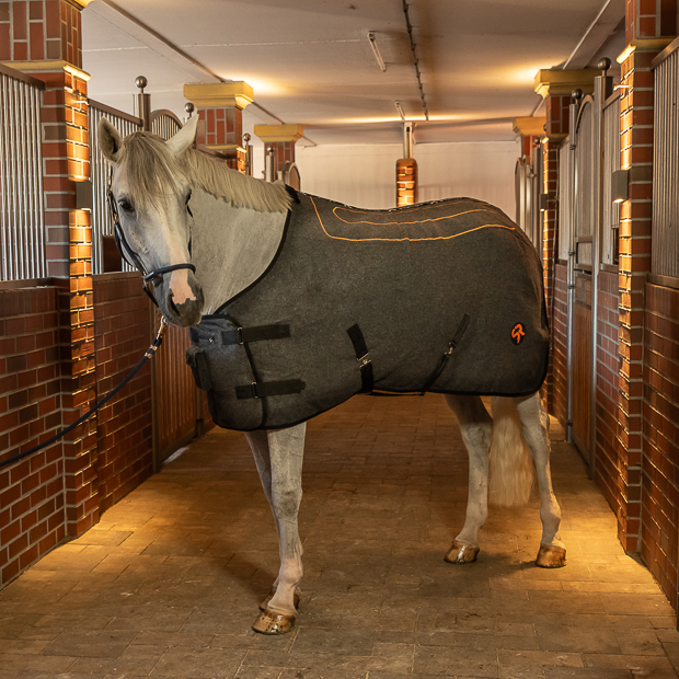 pferd mit grauer heizdecke von sunride auf der stallgasse