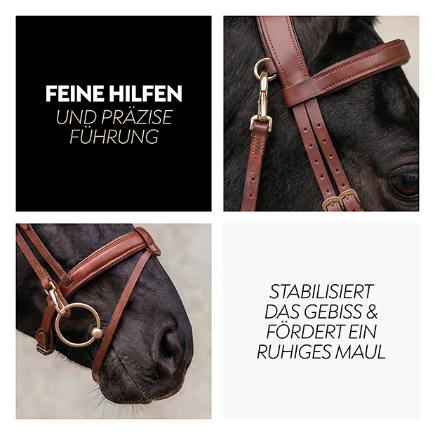 English combined bridle "Berlin" with reins