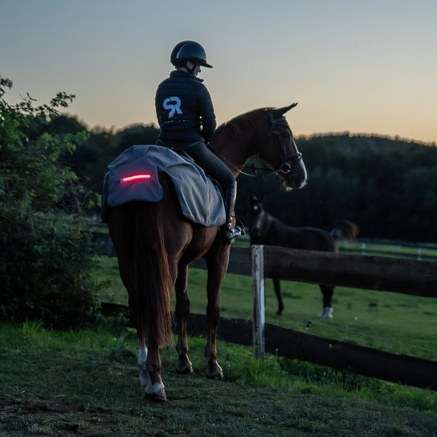 Waterproof LED riding rug 0g “New York” (1200D) LED riding rug 0g "New York" (1200D)
