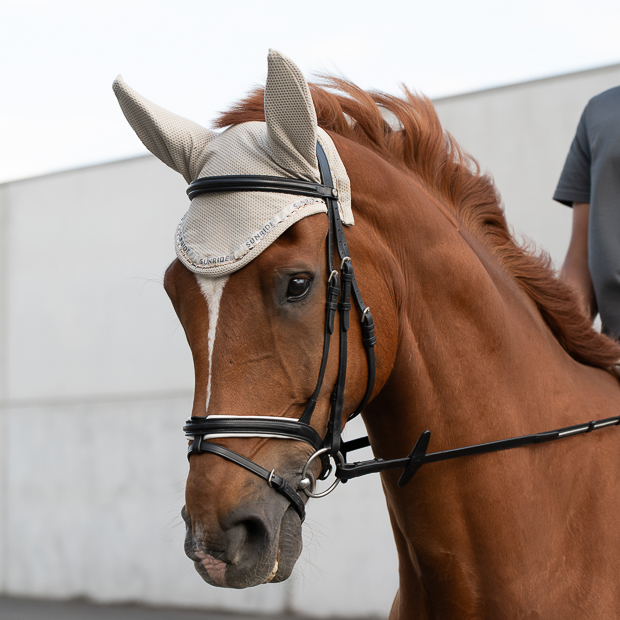 ear net and fly hood rounded beige with gem stones wellington line and bridle hawaii black white on a horse black and white hawaii bridle with rounded elastic ear net and fly hood beige with gem stones wellington line by sunride on the horse