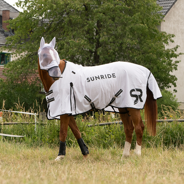 fly rug and matching fly mask miami white by sunride on a horse