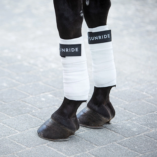 elastische bandagen in weiß von sunride  am pferdebein