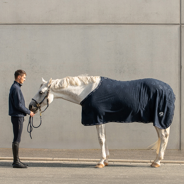 abschwitzdecke wellington blau auf dem pferd sowie leder und fellhalfter dover in braun mit strick neben reiter