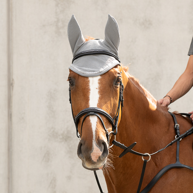 rounded elastic ear net and fly hood grey wellington line by sunride on a horse