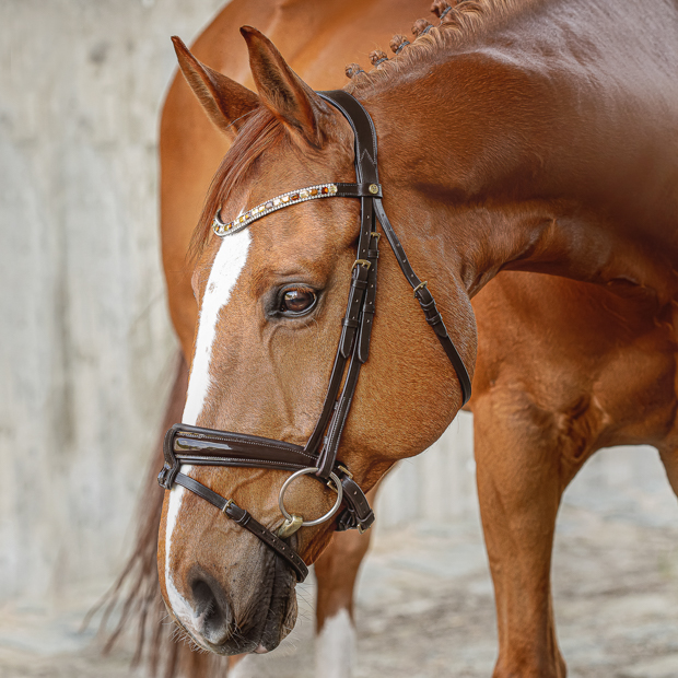 swedish leather bridle aspen with glossy nose band and matching gem stones in brown with golden mounting including reins on a horse