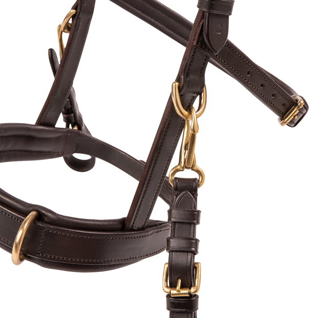 cavesson bridle ely in brown leather with detailed view of golden mounting including reins by sunride