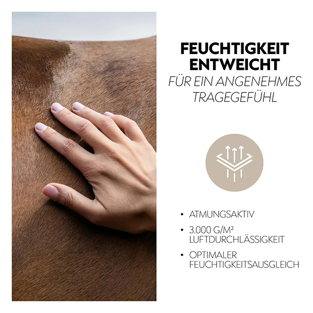 Exercise Sheet / Walking Rug 0g "Derby" (600D)