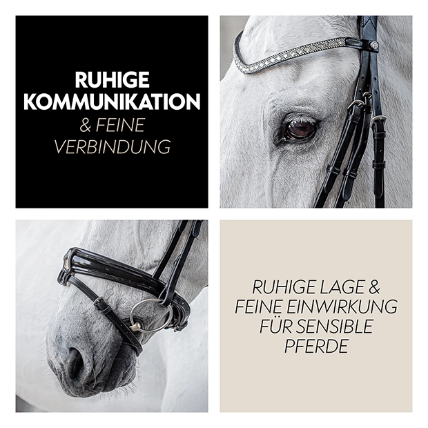 Swedish bridle "Aspen" with reins