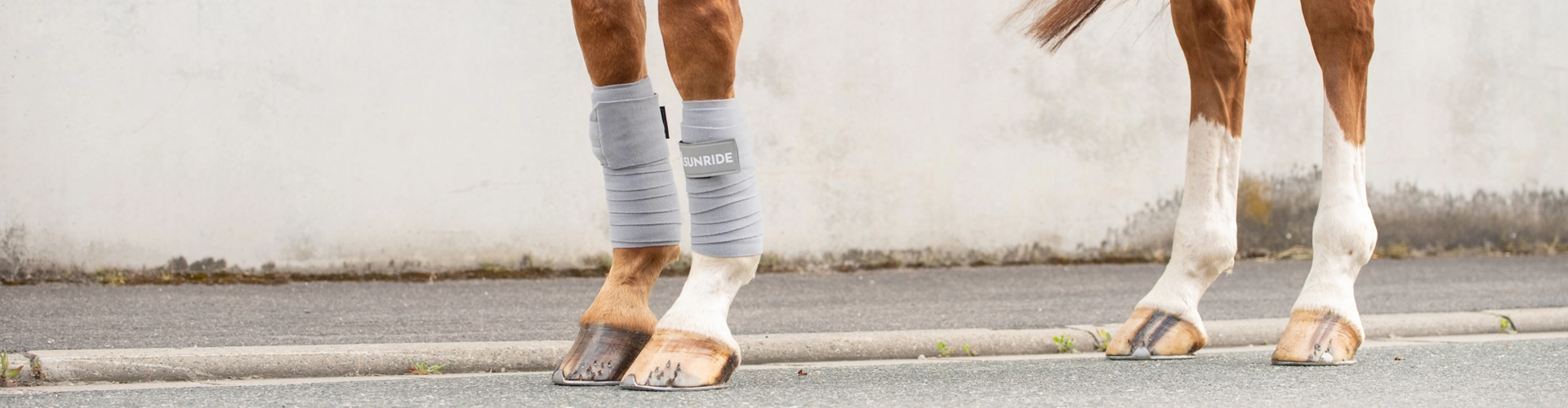 Fleece Bandagen Wellington 2er Set in grau Vier Pferdebeine und vorne mit den Fleece Bandagen Wellington von SUNRIDE in grau vor einer grauen Wand