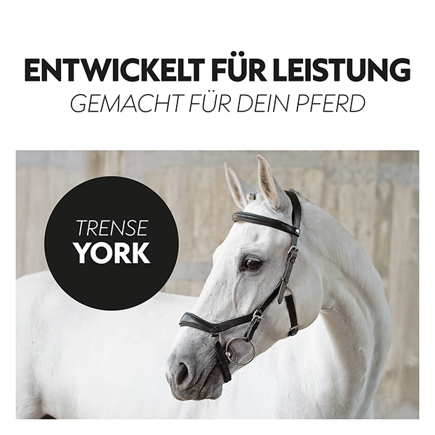 English combined bridle "York" with reins