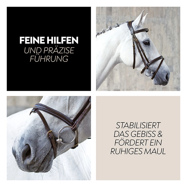 English combined bridle "London" with reins English combined bridle "London" with reins