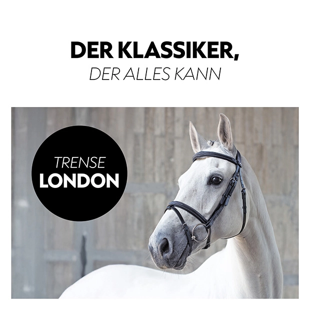Englisch kombinierte Trense "London" mit Zügel Englisch kombinierte Trense "London" mit Zügel