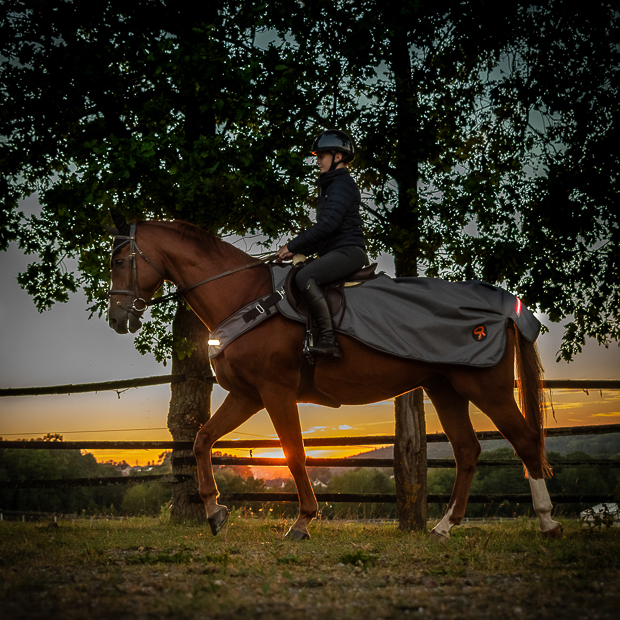 LED riding rug 0g "New York" (1200D)