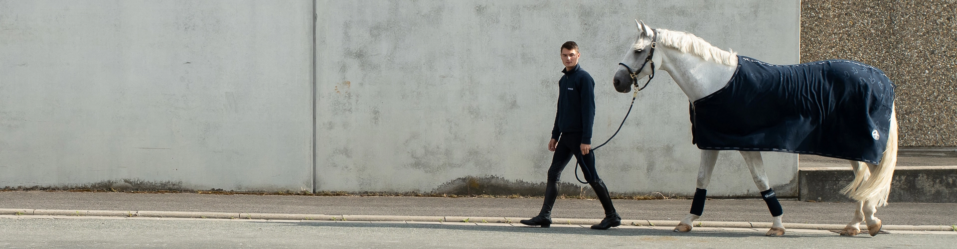 Abschwitzdecke Wellington in Blau Ein Pferd mit SUNRIDE  Fleece Abschwitzdecke in Blau vor einer grauen Wand
