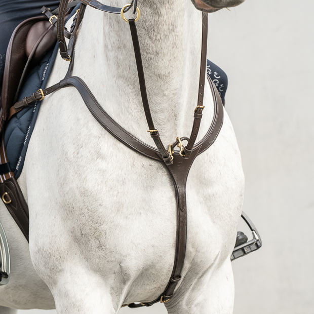 ascot brown with golden mounting leather breastplate with detachable martingal and choice of 3 point or 5 point fixation on a horse