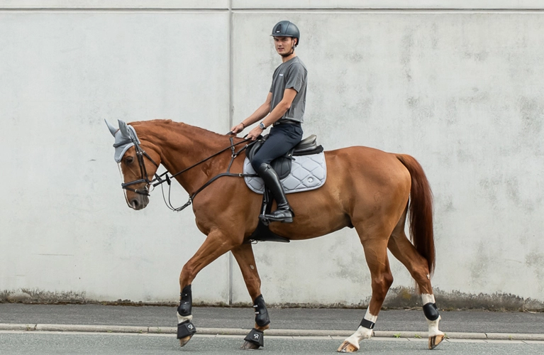 Sets Ein Reiter reitet ein Pferd im Schritt an einer hellen Wand entlang Das Pferd trägt ein graues Set aus Schabracke und Fliegenohren von Sunride