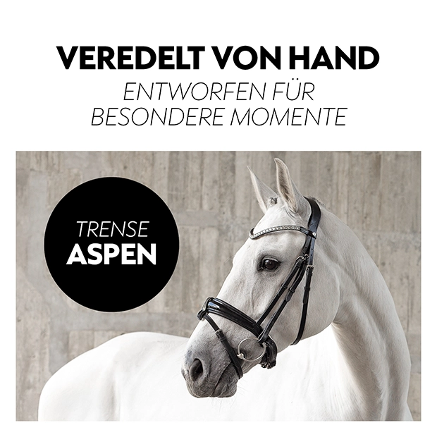 Swedish bridle "Aspen" with reins
