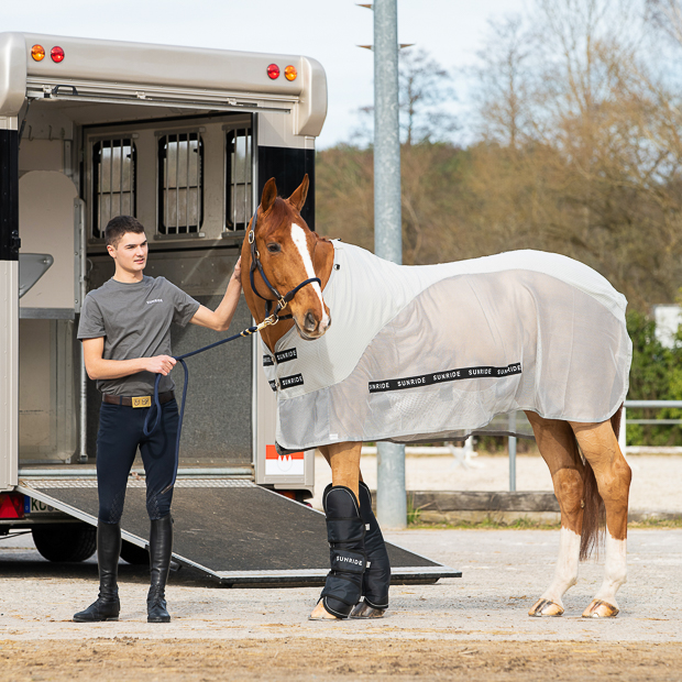 a horse getting ready for transportation with a lightgrey summer rug, fly rug and transportation rug with neck dubai with detachable neck part, belly part and individual straps included