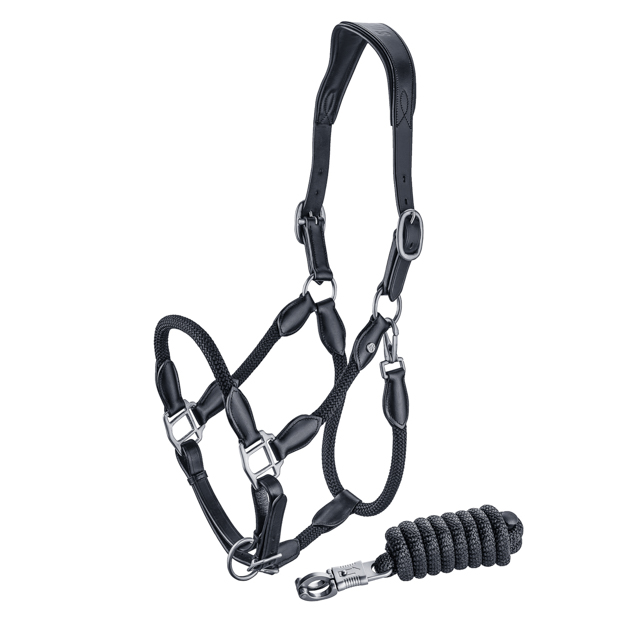 black leather halter with black ropes and golden mounting denver including lead rope by sunride