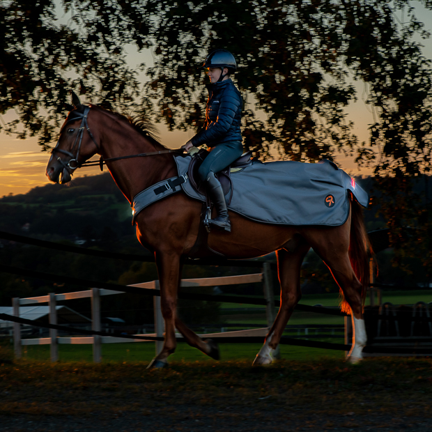 LED riding rug 0g "New York" (1200D)