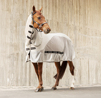 Fly Rugs