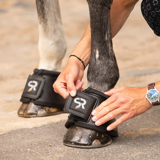 black leather bell boots with neoprene inside and velcro closure on a horse while attaching