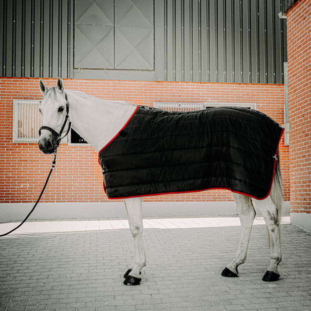 horse with black under rug 300 grams filling and black leather halter dallas black under rug with 300 grams filling compatible with all sunride winter and rain rugs and black leather halter dallas on a horse in front of stable