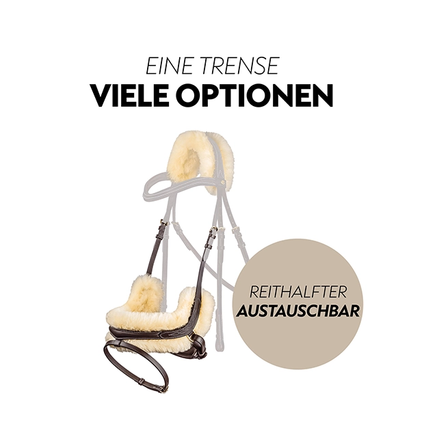 Schwedische Trense "Oxford" mit Zügel