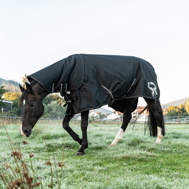 combination of black rain rug dublin with 50 grams filling and reflecting elements and the matching neck part by sunride on a horse in the meadows