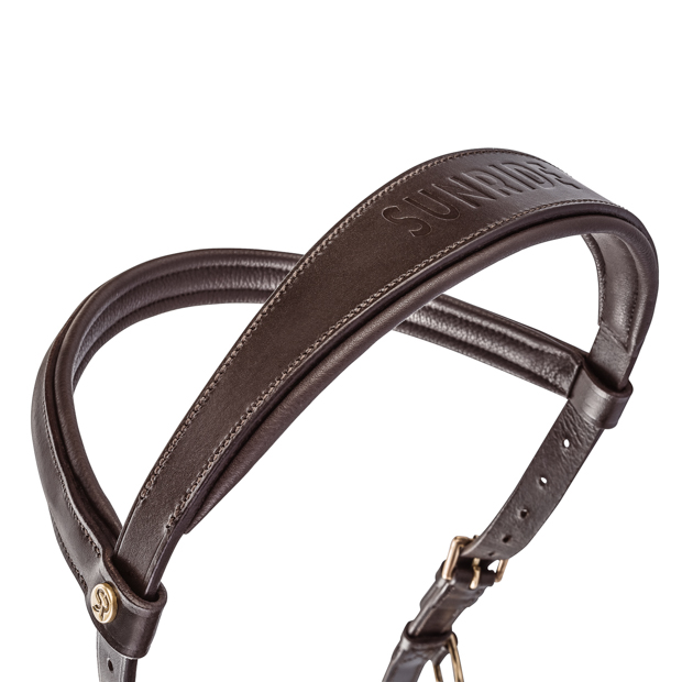 detailed view of shaped neck part of english combined brown leather bridle york with golden mounting including reins by sunride 