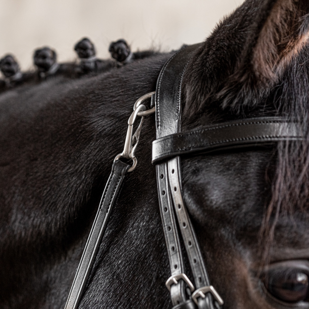 easy click curb lash of english combined leather easy clip bridle berlin black with silver mounting including reins on a horse